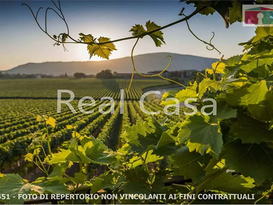 Immagine 12 di Terreno agricolo in vendita  in via per casalgrande  a Casalgrande