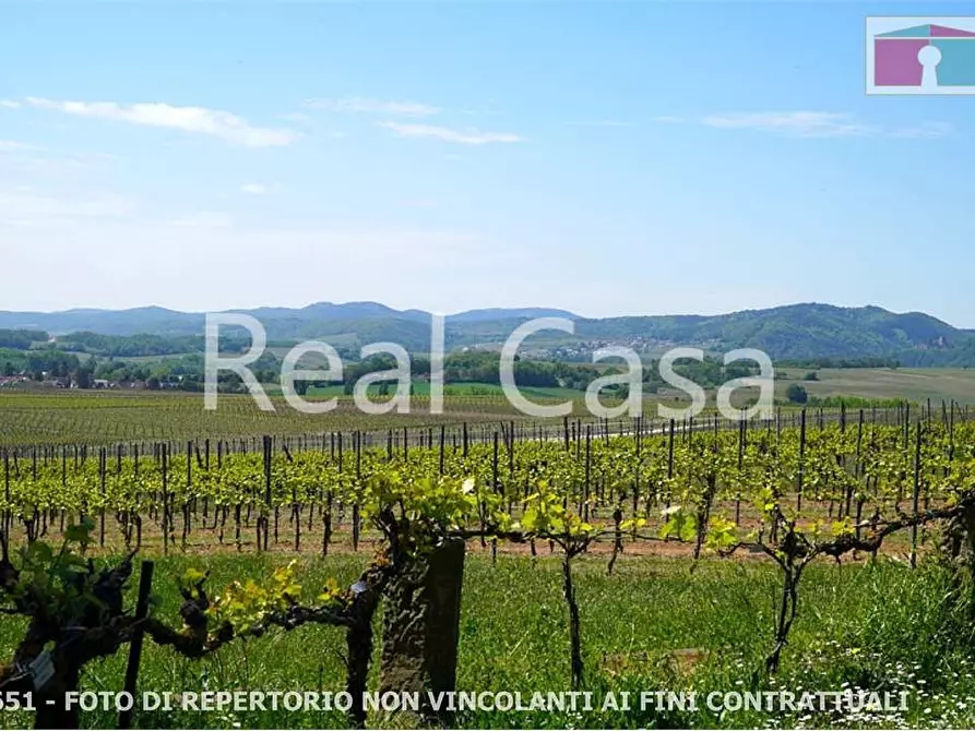 Immagine 13 di Terreno agricolo in vendita  in via per casalgrande  a Casalgrande