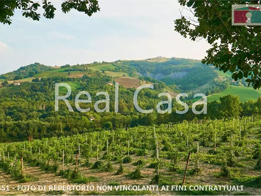 Immagine 14 di Terreno agricolo in vendita  in via per casalgrande  a Casalgrande