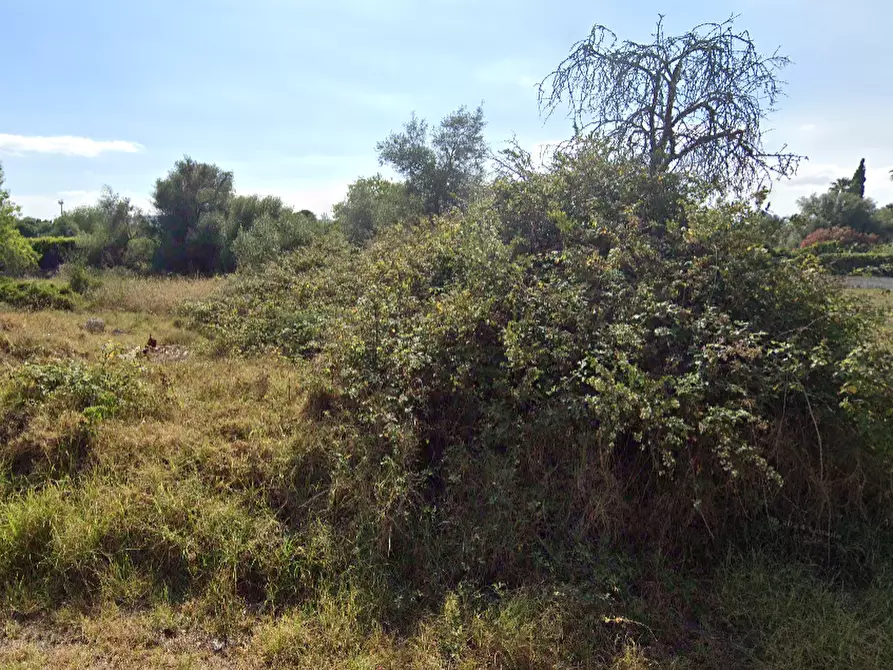 Immagine 5 di Terreno edificabile in vendita  a Siracusa