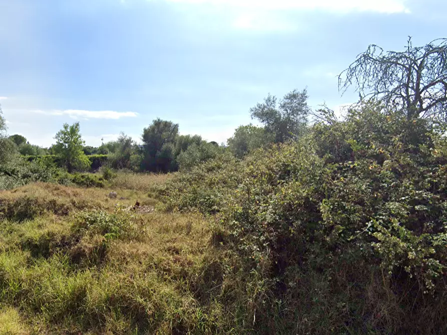 Immagine 3 di Terreno edificabile in vendita  a Siracusa