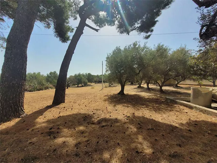 Immagine 6 di Villa in vendita  a Augusta