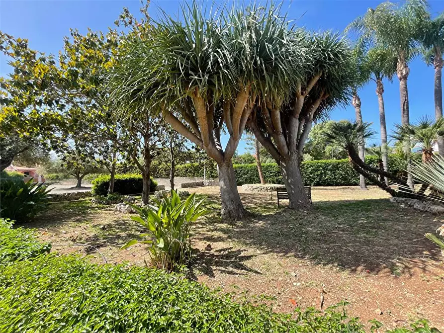 Immagine 7 di Stabile in vendita  a Siracusa