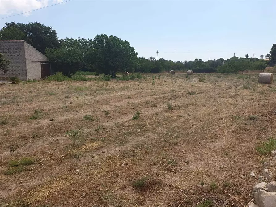 Immagine 3 di Villa in vendita  a Noto