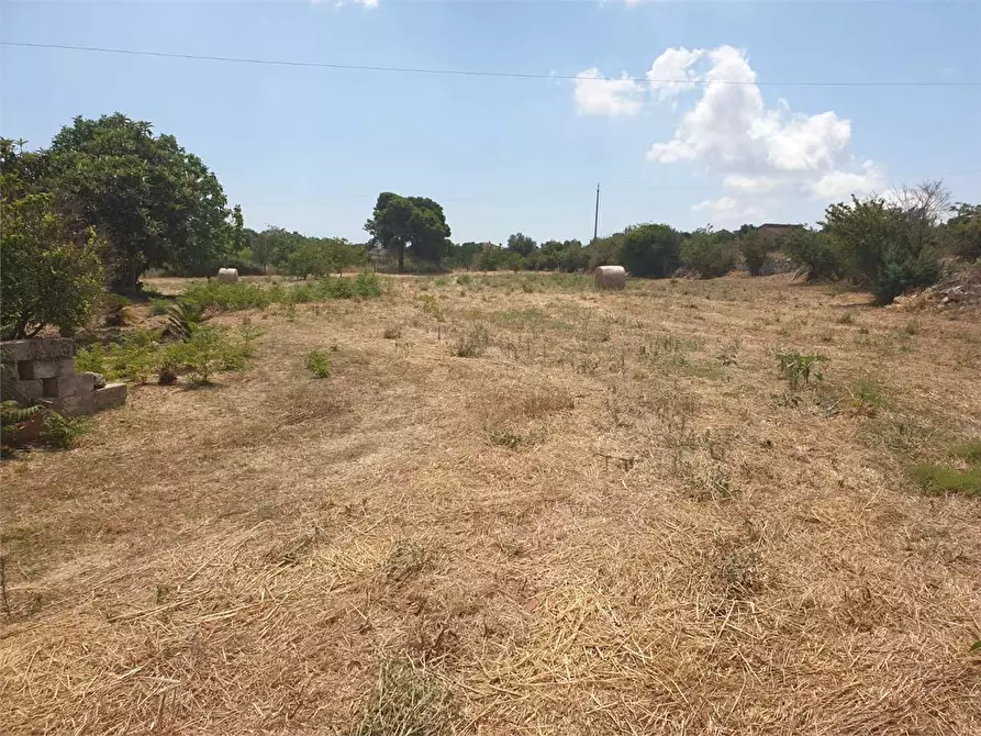 Immagine 4 di Villa in vendita  a Noto