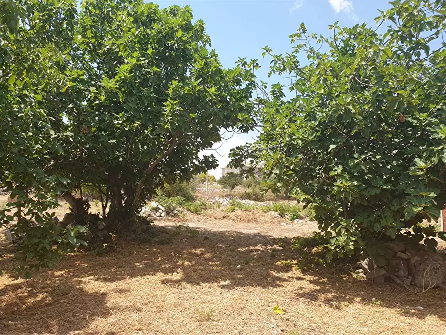 Immagine 5 di Villa in vendita  a Noto