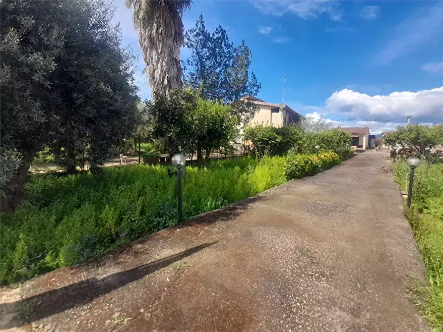 Immagine 3 di Villa in vendita  a Siracusa