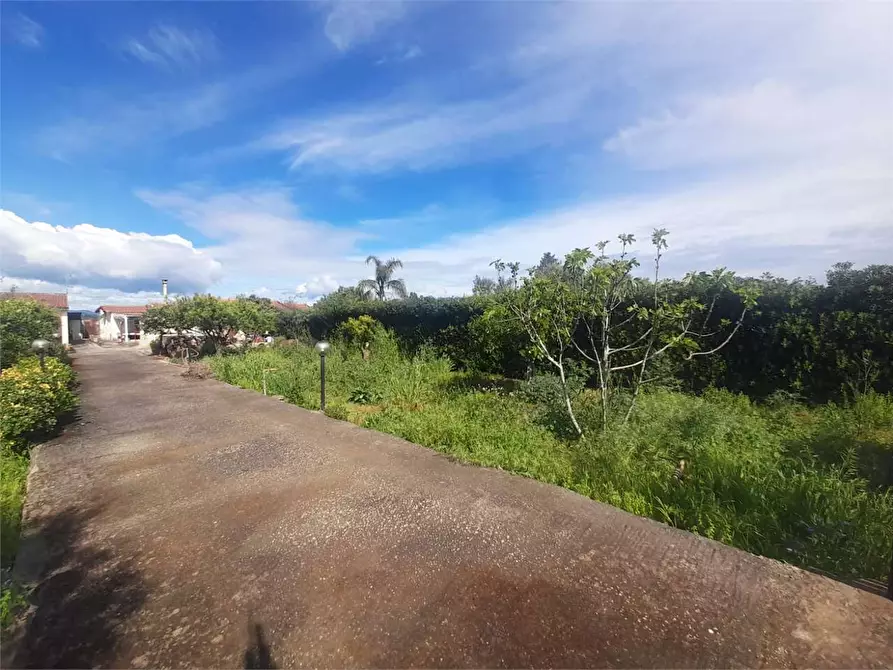 Immagine 4 di Villa in vendita  a Siracusa