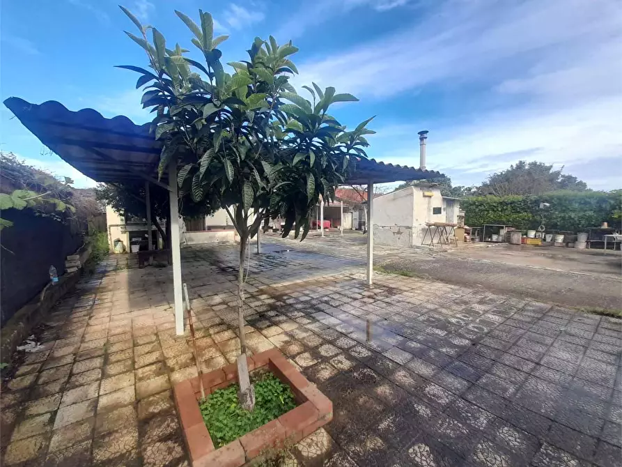 Immagine 6 di Villa in vendita  a Siracusa