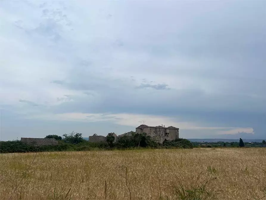Immagine 4 di Terreno agricolo in vendita  a Siracusa