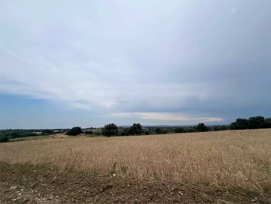 Immagine 6 di Terreno agricolo in vendita  a Siracusa