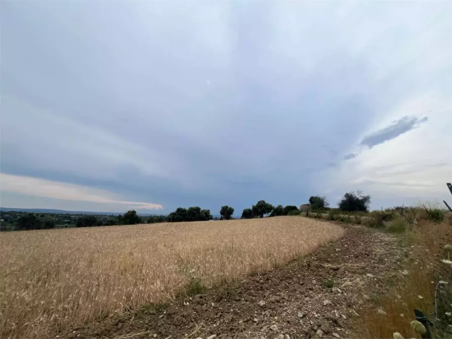 Immagine 7 di Terreno agricolo in vendita  a Siracusa