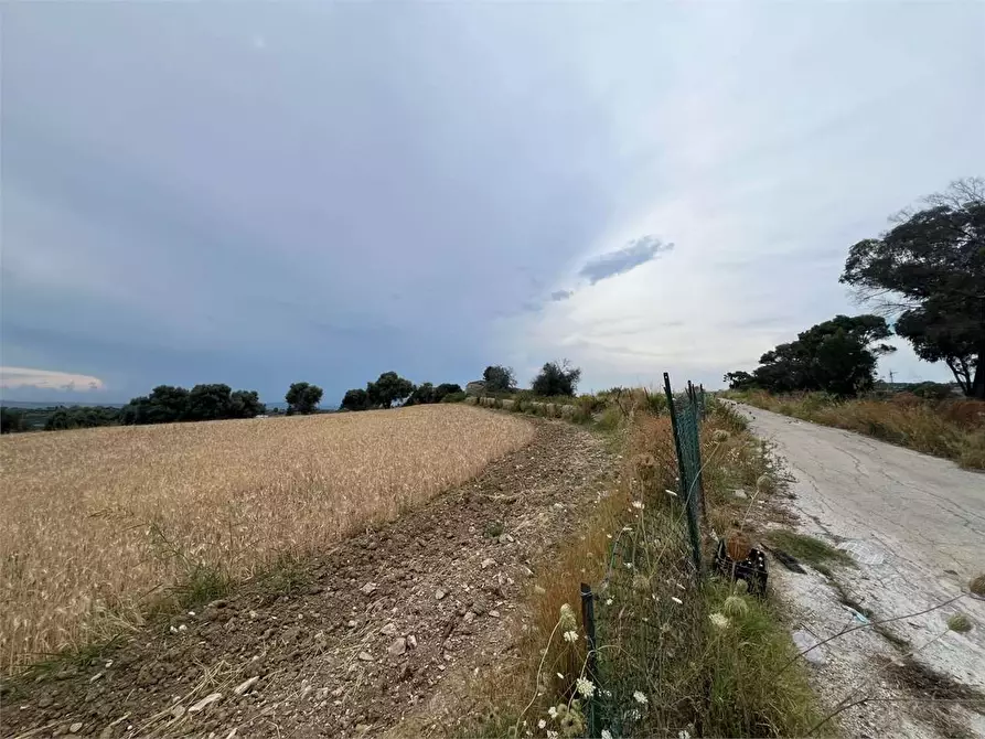 Immagine 11 di Terreno agricolo in vendita  a Siracusa