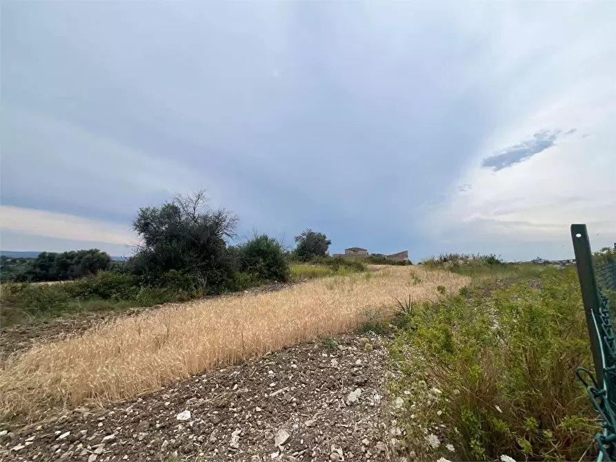 Immagine 15 di Terreno agricolo in vendita  a Siracusa