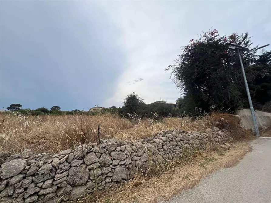 Immagine 2 di Terreno agricolo in vendita  a Siracusa