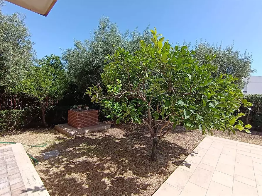 Immagine 3 di Villa in vendita  a Siracusa