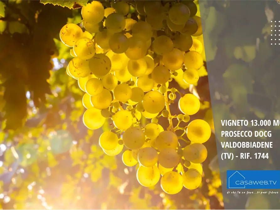 Immagine 2 di Terreno agricolo in vendita  in Via Garibaldi a Valdobbiadene