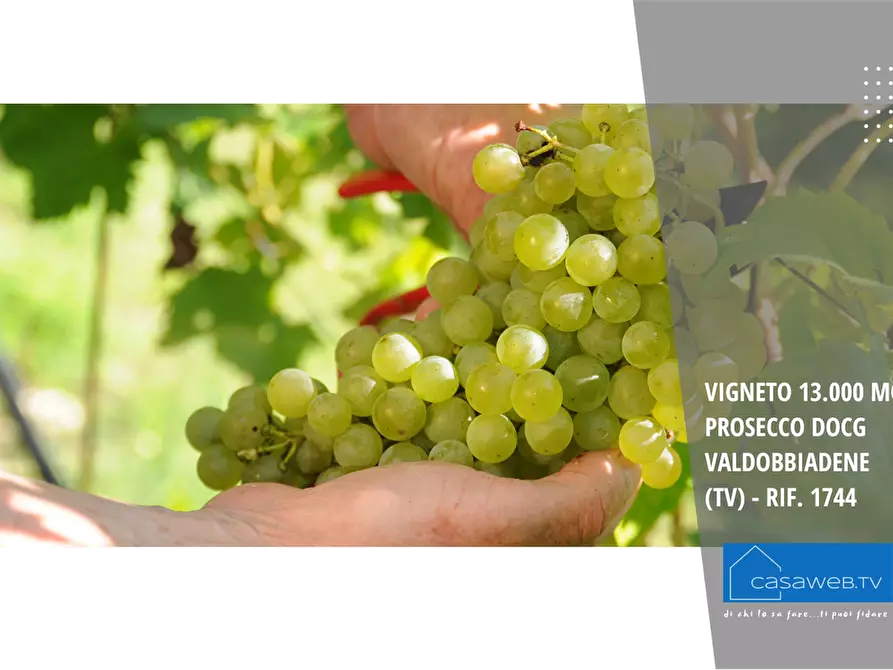 Immagine 6 di Terreno agricolo in vendita  in Via Garibaldi a Valdobbiadene