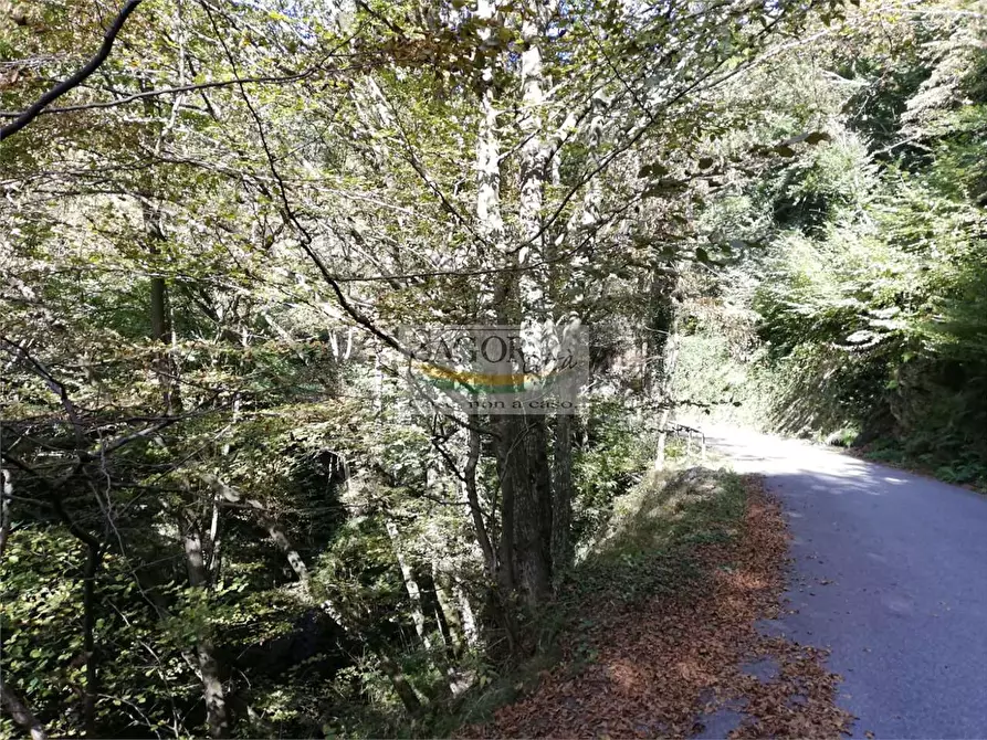 Immagine 13 di Appartamento in affitto  in Borgata MurettI 1 a Villar Perosa