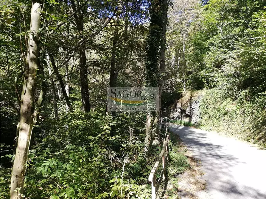 Immagine 12 di Appartamento in affitto  in Borgata MurettI 1 a Villar Perosa