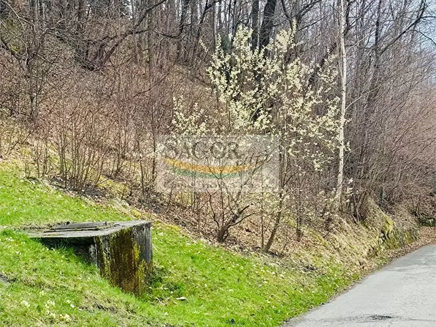 Immagine 13 di Appartamento in affitto  in Borgata Muretti  1 a Villar Perosa