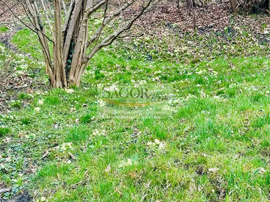 Immagine 15 di Appartamento in affitto  in Borgata Muretti  1 a Villar Perosa