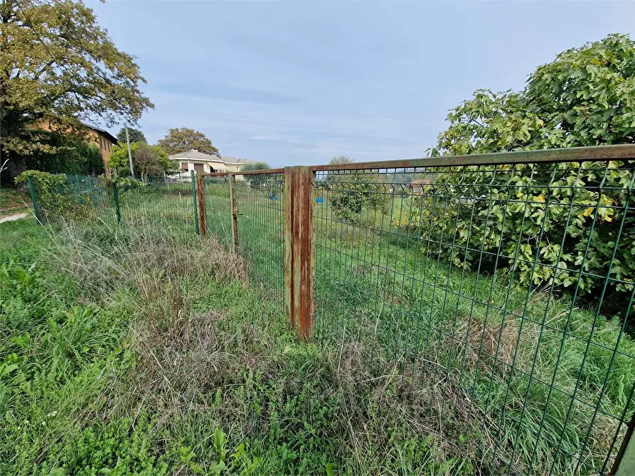 Immagine 8 di Terreno agricolo in vendita  in Via Foscolo a Travedona-Monate