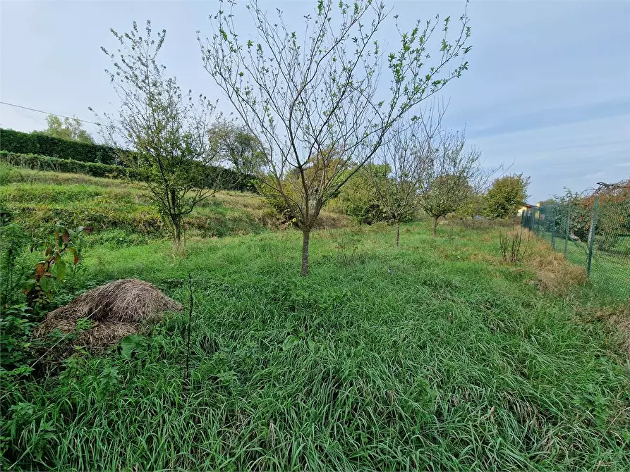 Immagine 4 di Terreno agricolo in vendita  in Via Foscolo a Travedona-Monate