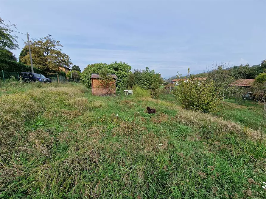 Immagine 3 di Terreno agricolo in vendita  in Via Foscolo a Travedona-Monate