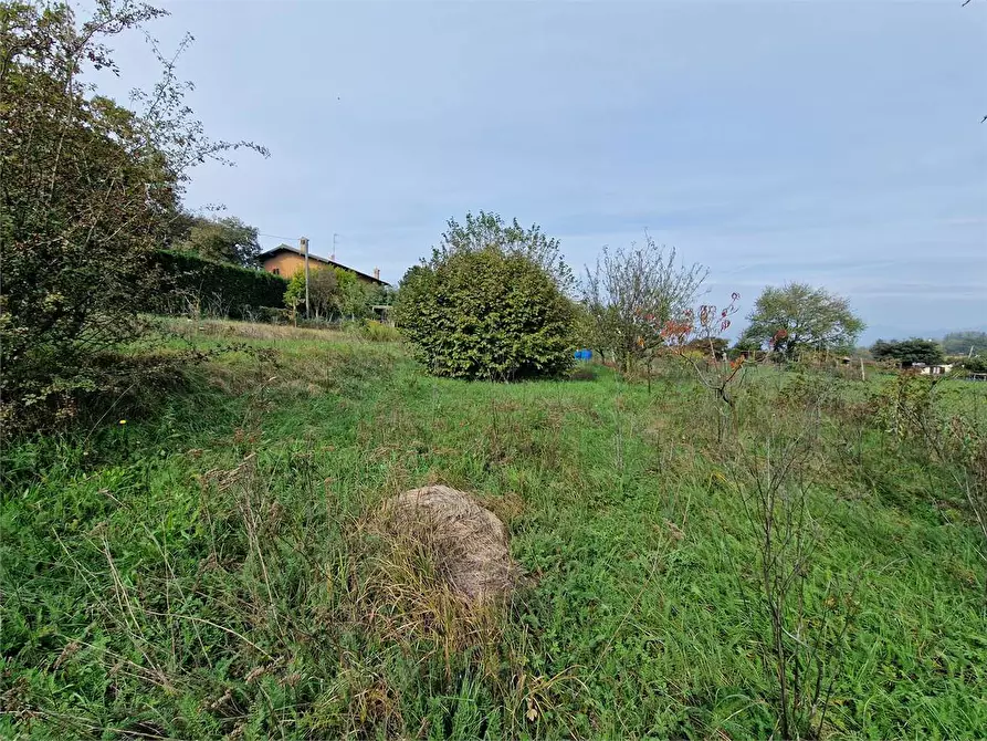 Immagine 6 di Terreno agricolo in vendita  in Via Foscolo a Travedona-Monate