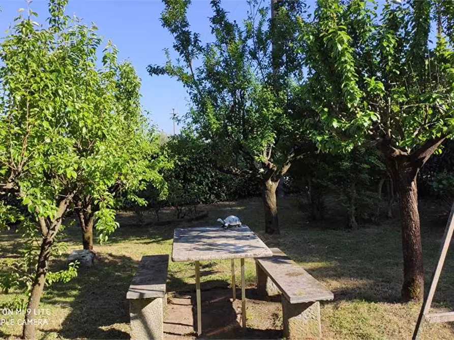 Immagine 5 di Porzione di villa in vendita  in Via Uponne a Ranco