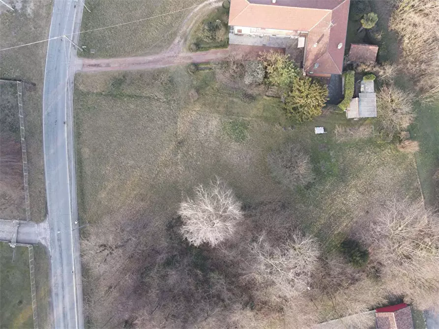 Immagine 4 di Terreno edificabile in vendita  a Ternate