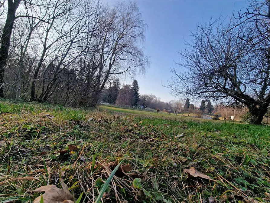 Immagine 30 di Terreno edificabile in vendita  a Ternate