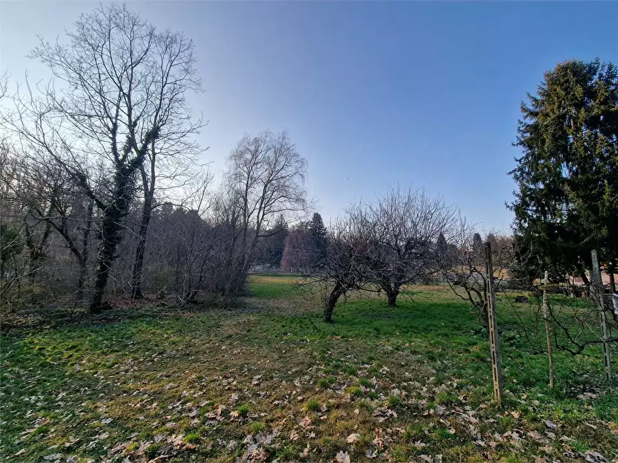 Immagine 31 di Terreno edificabile in vendita  a Ternate