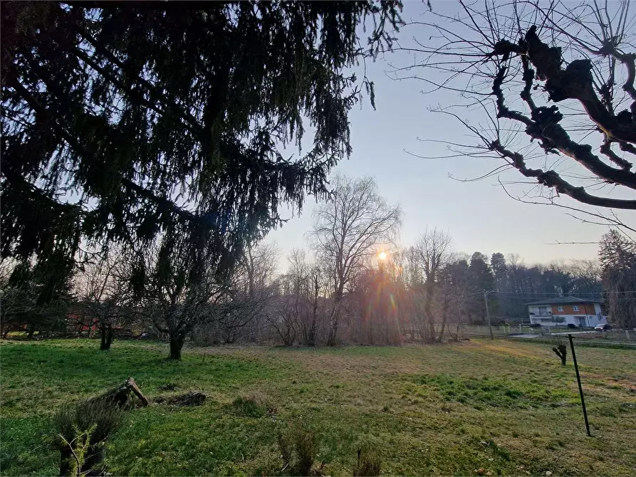 Immagine 34 di Terreno edificabile in vendita  a Ternate