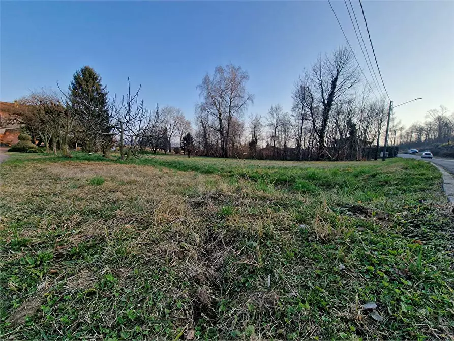 Immagine 27 di Terreno edificabile in vendita  a Ternate