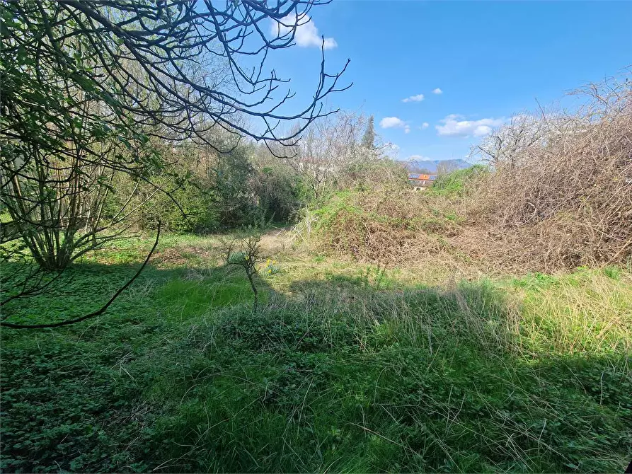 Immagine 10 di Rustico / casale in vendita  a Travedona-Monate