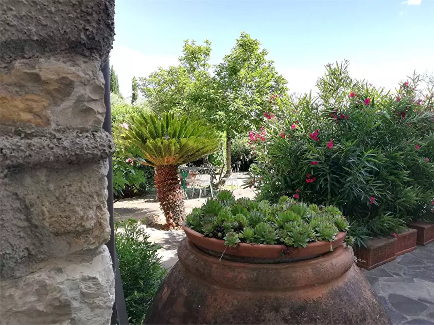 Immagine 4 di Villa in vendita  a Quarrata