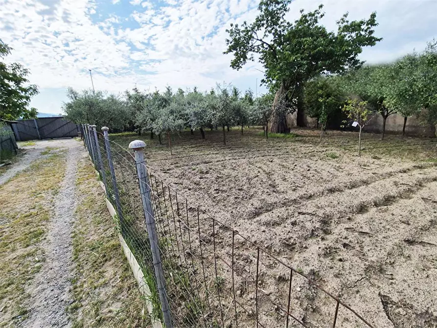 Immagine 3 di Terreno agricolo in vendita  a Prato