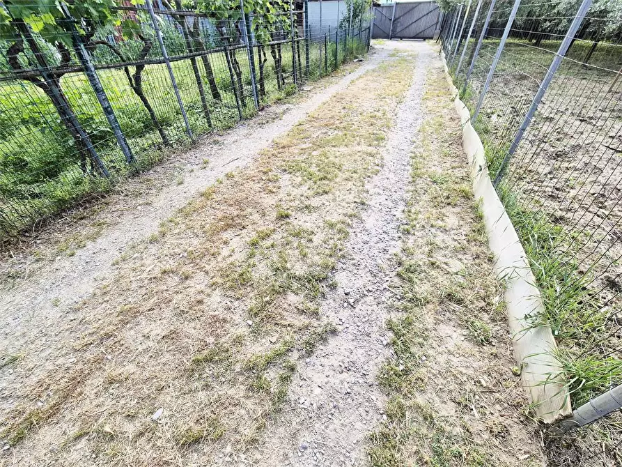 Immagine 7 di Terreno agricolo in vendita  a Prato