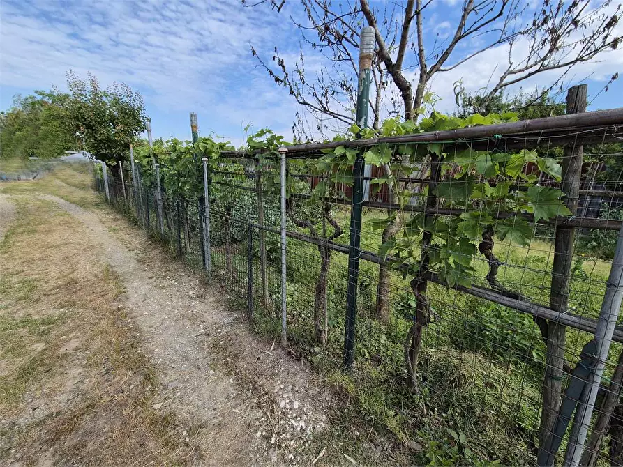 Immagine 5 di Terreno agricolo in vendita  a Prato