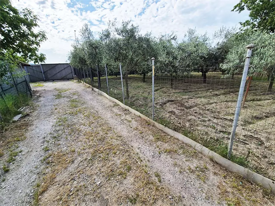 Immagine 8 di Terreno agricolo in vendita  a Prato