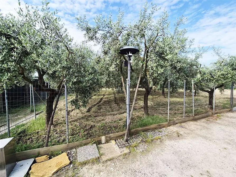 Immagine 2 di Terreno agricolo in vendita  a Prato