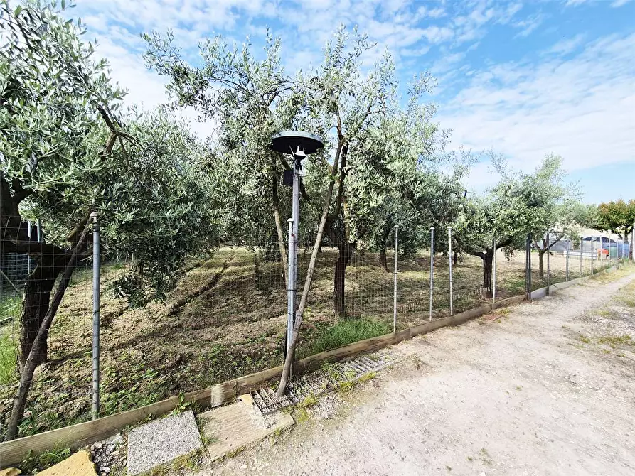 Immagine 9 di Terreno agricolo in vendita  a Prato