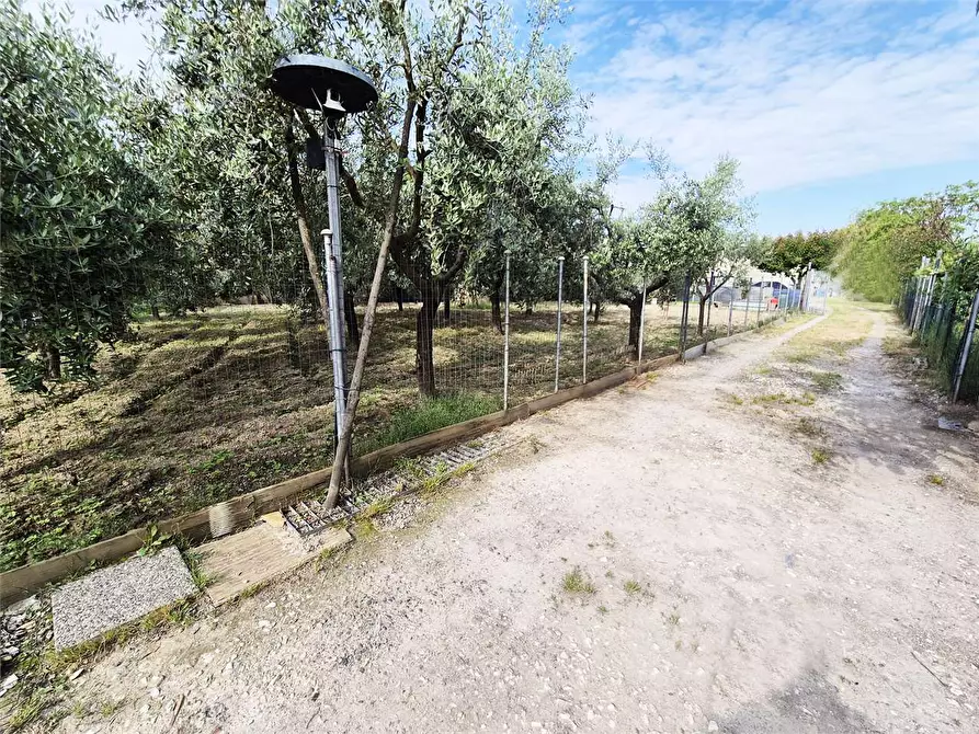 Immagine 6 di Terreno agricolo in vendita  a Prato