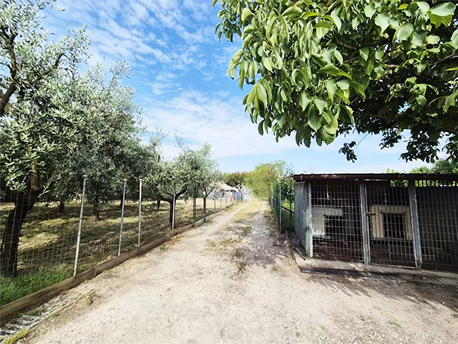 Immagine 10 di Terreno agricolo in vendita  a Prato