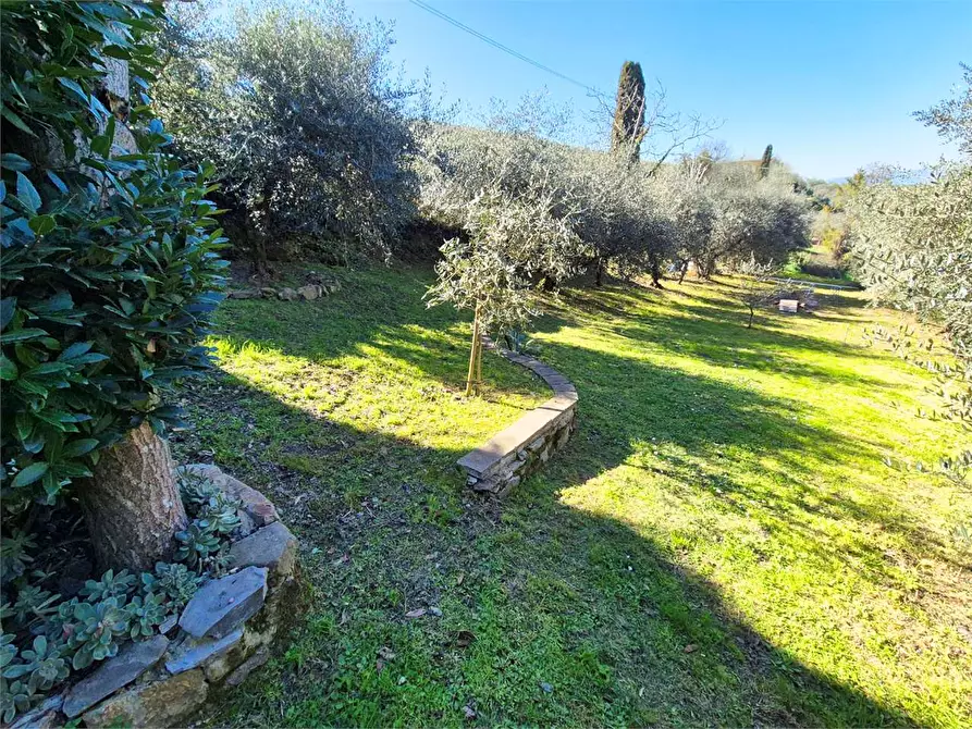 Immagine 3 di Casa indipendente in vendita  a Quarrata