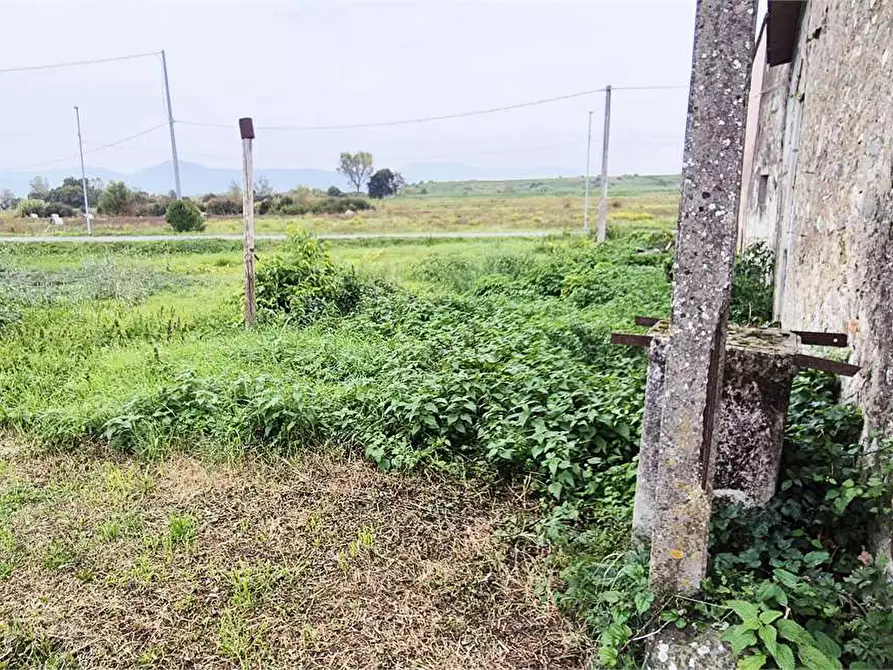 Immagine 3 di Rustico / casale in vendita  a Prato