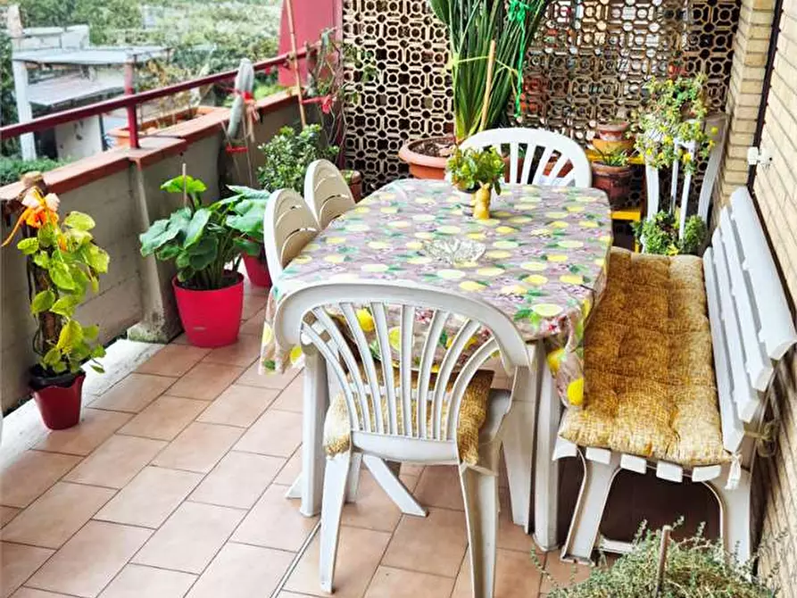 Immagine 5 di Quadrilocale in vendita  a Prato