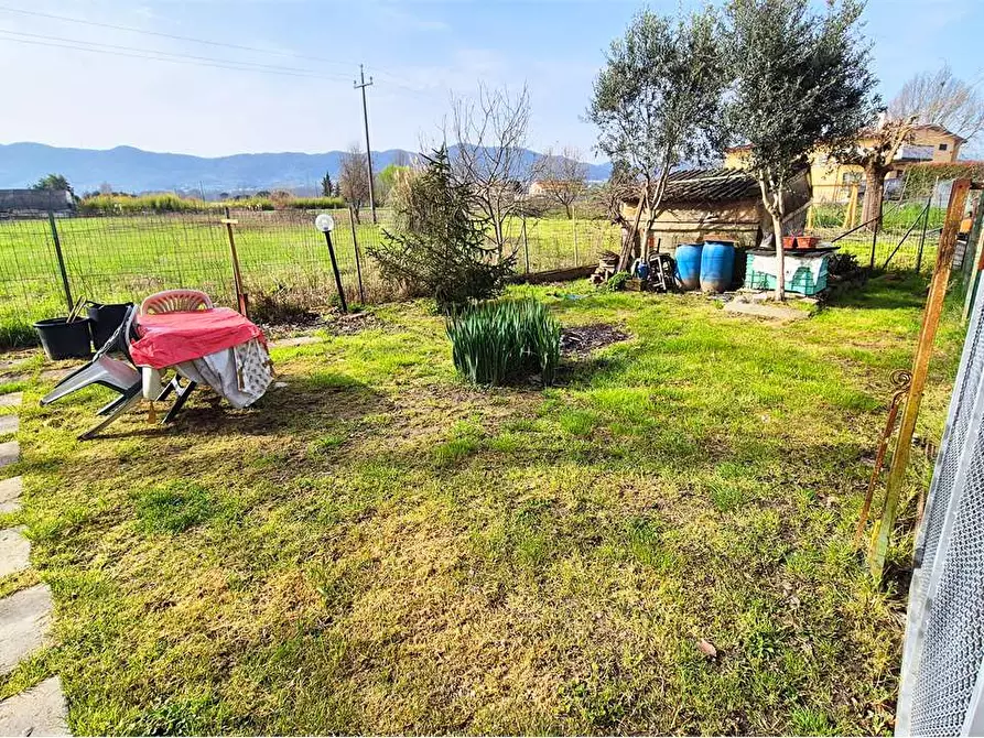 Immagine 33 di Casa indipendente in vendita  a Quarrata